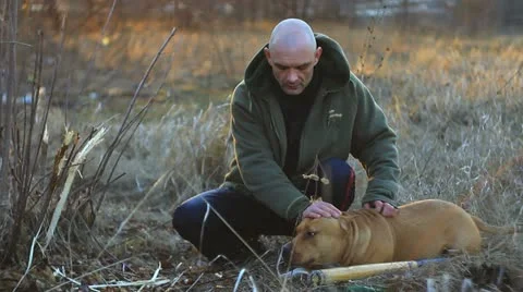 Shaved man playing with dog Stock Footage 10877940