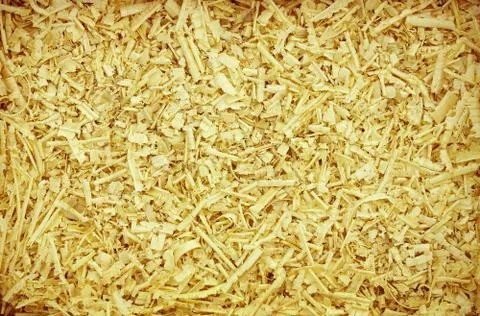 Shaving Stock Photos