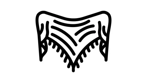 Shawl knitting wool line icon animation Video stock 326762795