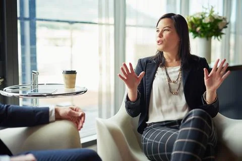 She brings her own vision to the partnership. two businesspeople talking in a Stock Photos