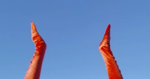 She is clapping her hands - carnival concept or celebration concept Stock-Footage 103311929