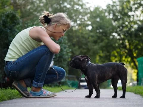 She communicates with the dog while walking. Street of the city, summer. Fren Stock Photos