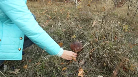 She found the fungus Stock Footage 57811205