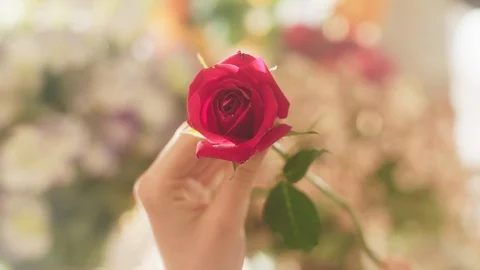 She is holding a red rose Stock Footage 128868064