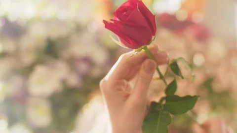She is holding a red rose Stock Footage 128868366