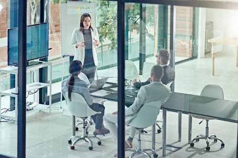 She put a lot of practice into this presentation. a businesswoman delivering a Foto stock