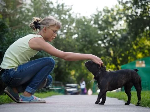 She stroked the dog while walking. Street of the city, summer. French Bulldog Stock Photos