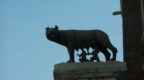She wolf BONUS 2 shots in 1 Stock Footage 526741