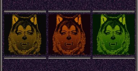 She wolf 库存插图