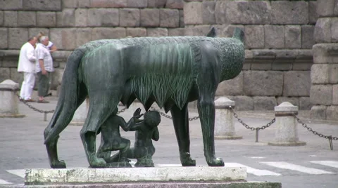 She wolf in Segovia Stock Footage 6529872