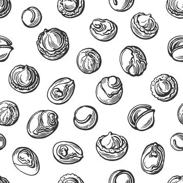 Shea nut seamless pattern. Vector hand drawind illustration in vintage style. Stock Illustration