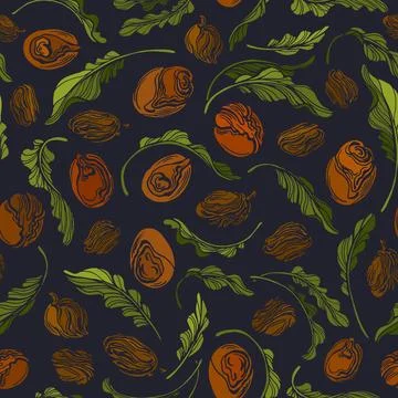 Shea nut seamless pattern. Vintage engraving Stock Illustration