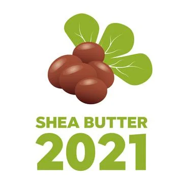 Shea nuts bio vector. Brown shea nut and organic nuts shea Stock Illustration