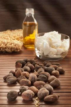 Shea nuts on a natural background Stock Photos