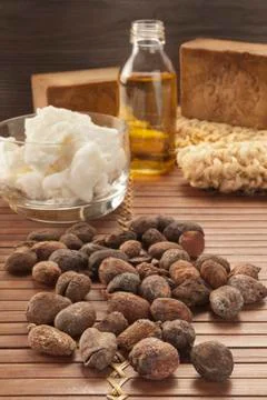 Shea nuts on a natural background Stock Photos