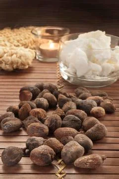 Shea nuts on a natural background Stock Photos