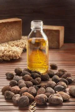 Shea nuts on a natural background Stock Photos