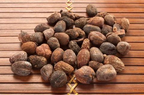 Shea nuts on a natural background Stock Photos