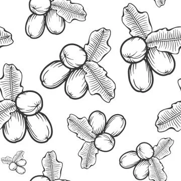 Shea nuts pattern Stock Illustration
