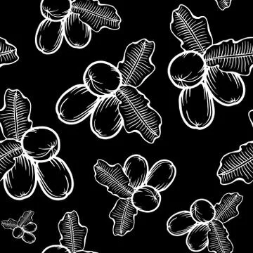 Shea nuts pattern Stock Illustration