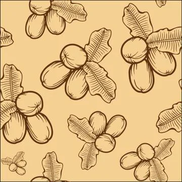 Shea nuts pattern Stock Illustration