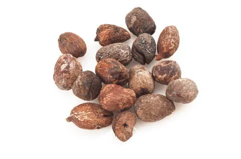 Shea nuts Stock Photos