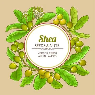 Shea vector frame Stock Illustration