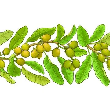 Shea vector pattern Stock Illustration