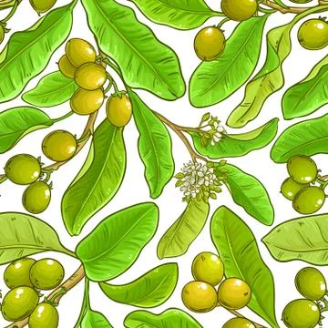 Shea vector pattern Stock Illustration