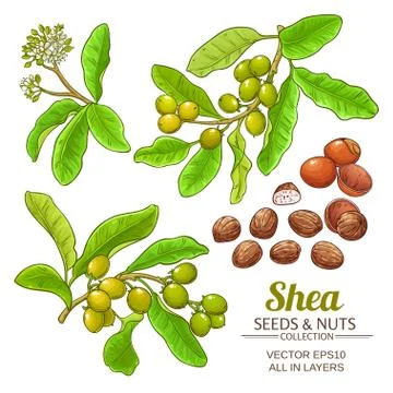 Shea vector set Stock Illustration