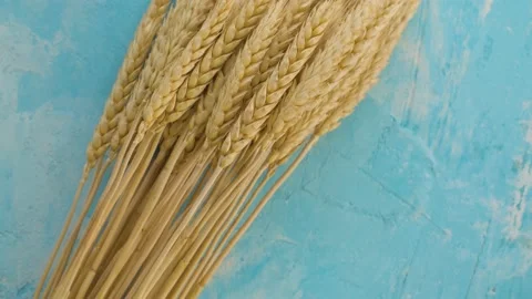 Sheaf of ripe rye ears Stock Footage 137018887