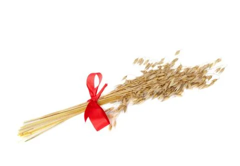 Sheaf of spikes Stock Photos