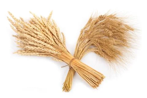 Sheaf of wheat and rye Stock Photos