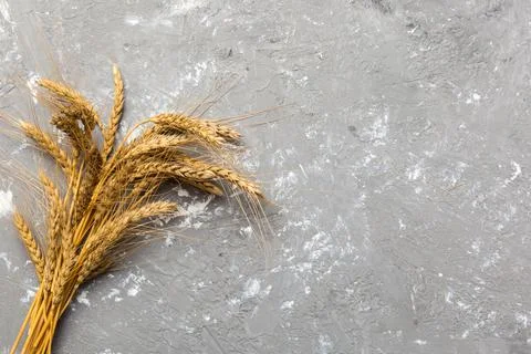 Sheaf of wheat ears close up and seeds on colored background. Natural cereal  Stock Photos