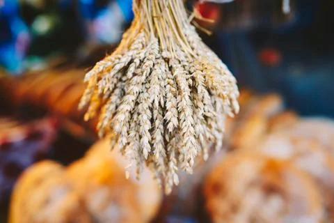 Sheaf of wheat ears Stock Photos