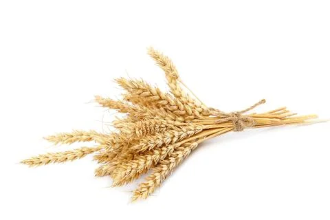 Sheaf of wheat ears on white background. Stock Photos