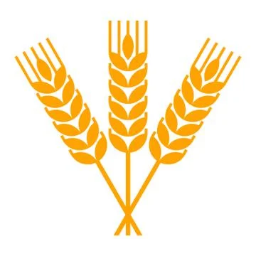 Sheaf of wheat engraving Illustrazione stock