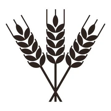 Sheaf of wheat engraving Stock Illustration