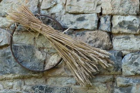 Sheaf of wheat Stock Photos
