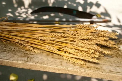 Sheaf of wheat Stock Photos