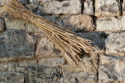 Sheaf of wheat Stock Photos