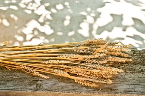 Sheaf of wheat Stock Photos