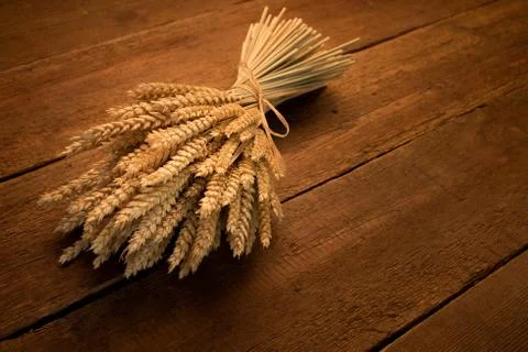 Sheaf of wheat Stock Photos