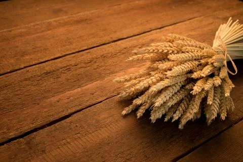 Sheaf of wheat Stock Photos