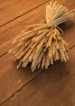 Sheaf of wheat Stock Photos