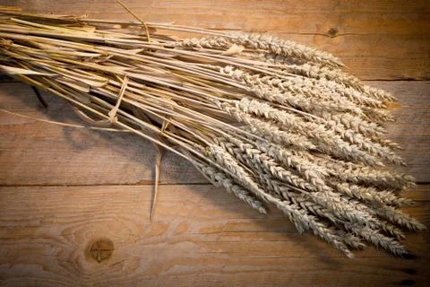 Sheaf of wheat Stock Photos