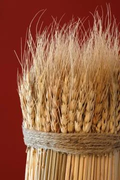 Sheaf of Wheat Stock Photos