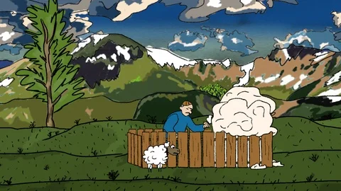 Shearing cattle sheep in a clearing. Video stock 117982554