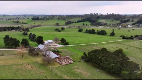 Shearing - Sheep in pen Stock Footage 321162629