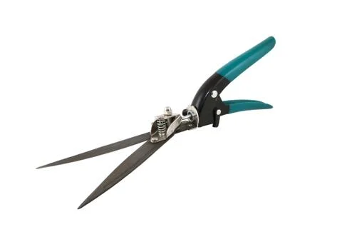 Shears for cutting grass Stock Photos